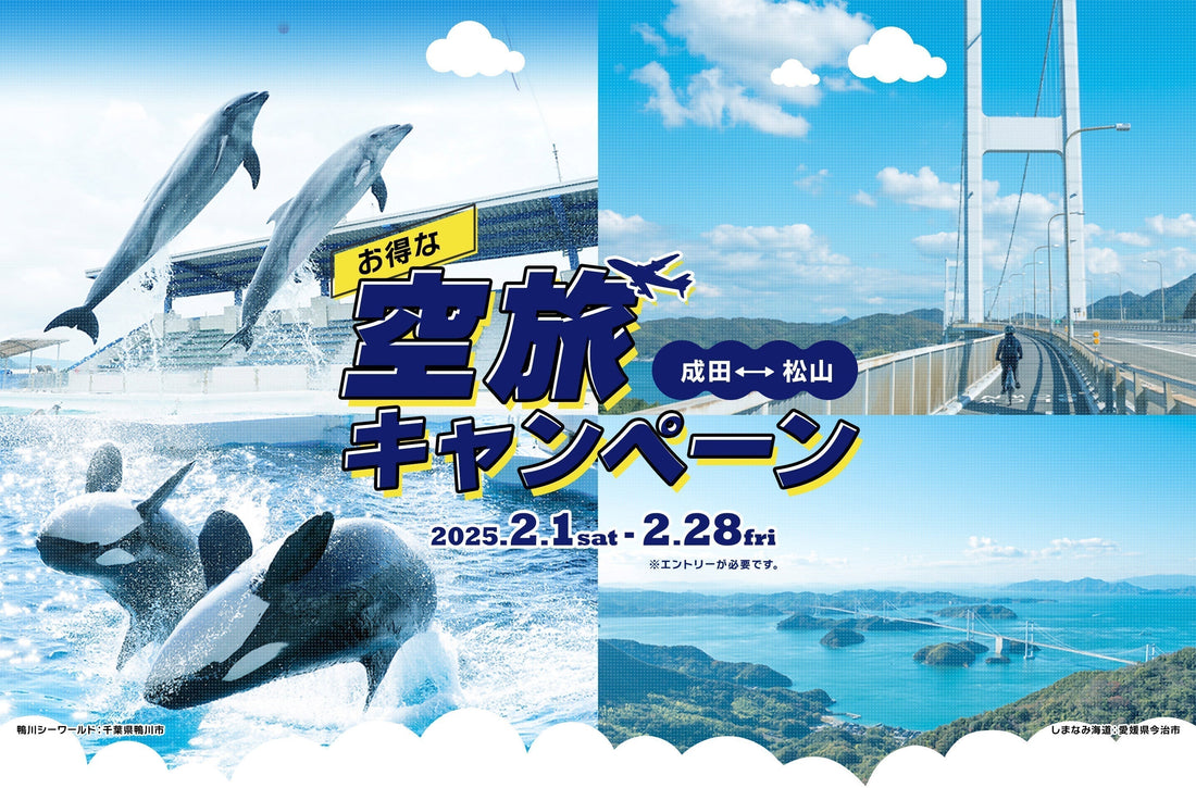 成田⇔松山 お得な空旅キャンペーン